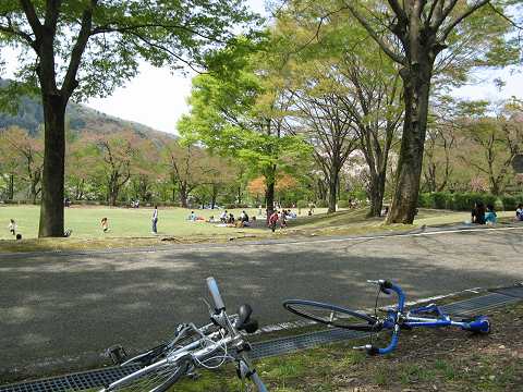 桜舞う樹木公園 (ι )