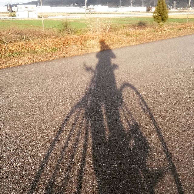 ひさびさに愛車とデート。ブランクがありすぎて、足が重いのなんの。5km越えたあたりから、なんとか足が回しだした。とは言うものの、ぎっくり腰明けなので(ｰｰ;)、ほどほどにして折り返し。